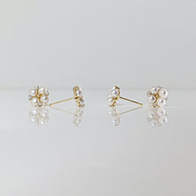 Load image into Gallery viewer, Alisa Clover Pearls Earrings